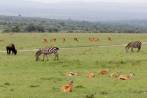Кения-Танзания (о.Мафия и о.Занзибар) декабрь 2011