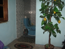 Сам себе турагент