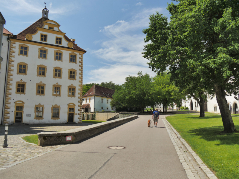 Боденское озеро / Bodensee - лучше сейчас, чем никогда.