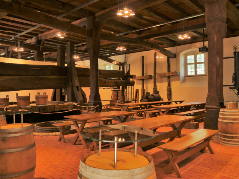 Боденское озеро / Bodensee - лучше сейчас, чем никогда.