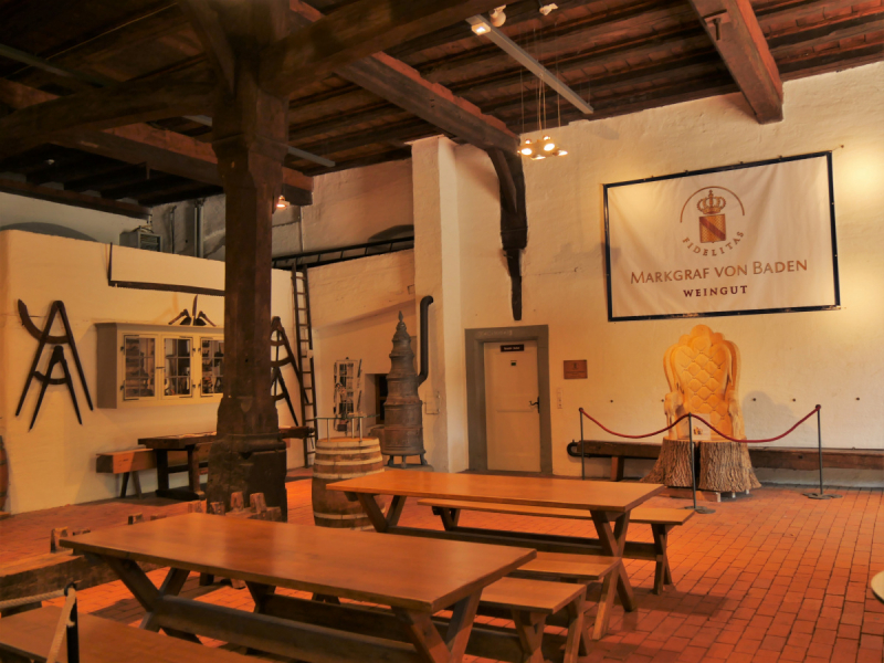 Боденское озеро / Bodensee - лучше сейчас, чем никогда.