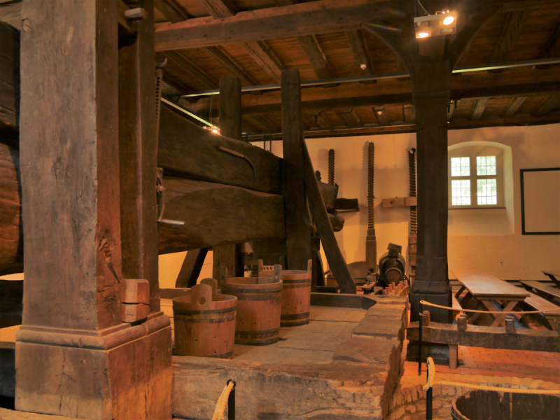 Боденское озеро / Bodensee - лучше сейчас, чем никогда.