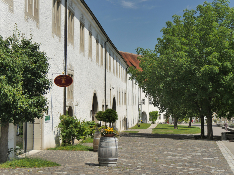 Боденское озеро / Bodensee - лучше сейчас, чем никогда.