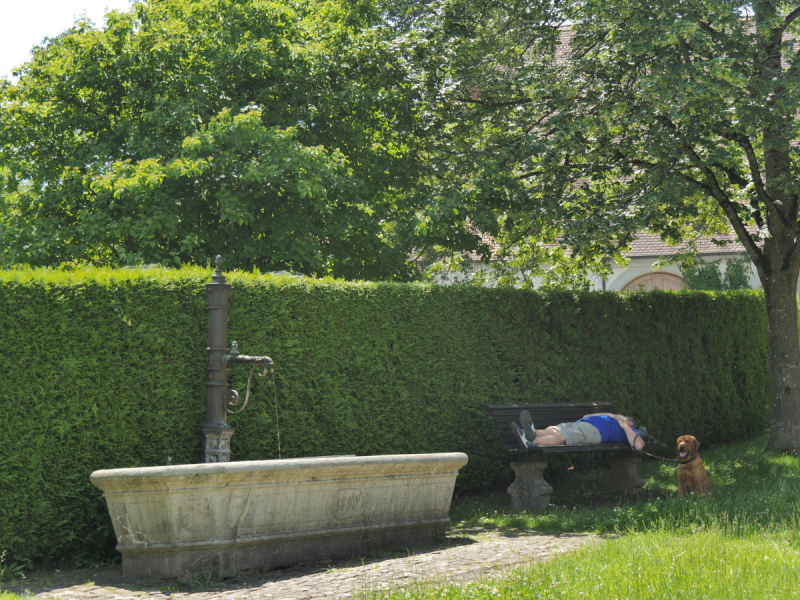 Боденское озеро / Bodensee - лучше сейчас, чем никогда.