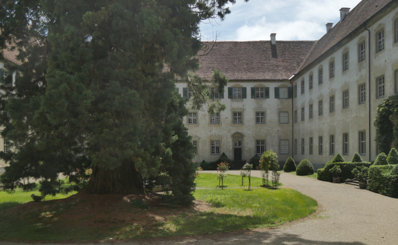 Боденское озеро / Bodensee - лучше сейчас, чем никогда.