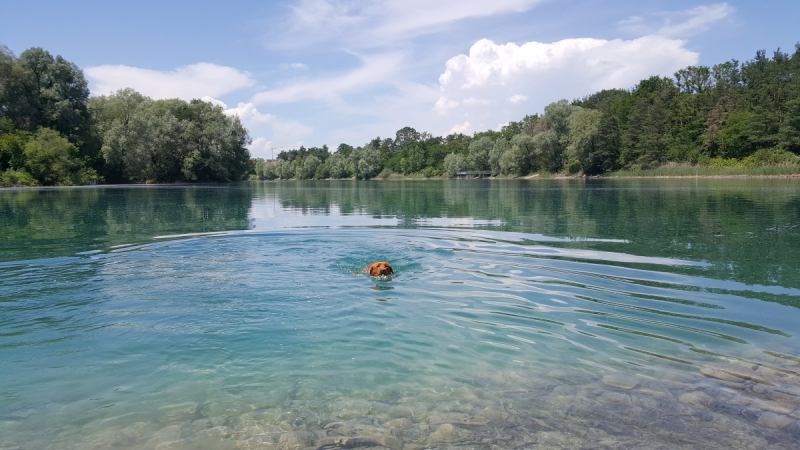 Боденское озеро / Bodensee - лучше сейчас, чем никогда.