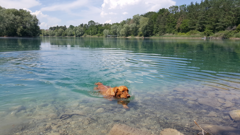 Боденское озеро / Bodensee - лучше сейчас, чем никогда.