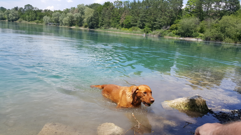 Боденское озеро / Bodensee - лучше сейчас, чем никогда.