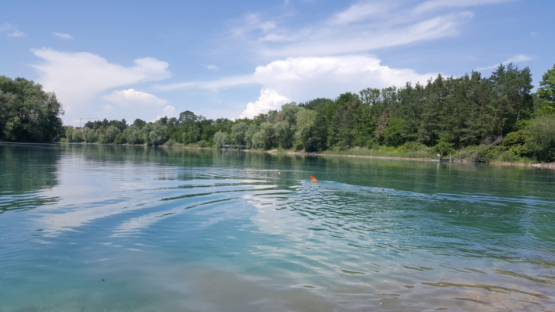 Боденское озеро / Bodensee - лучше сейчас, чем никогда.