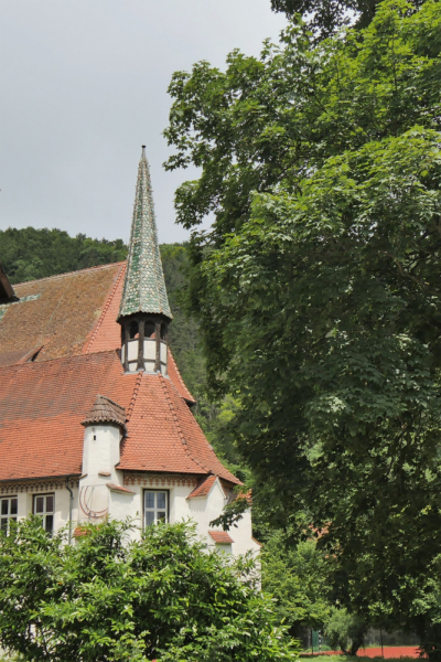 Боденское озеро / Bodensee - лучше сейчас, чем никогда.