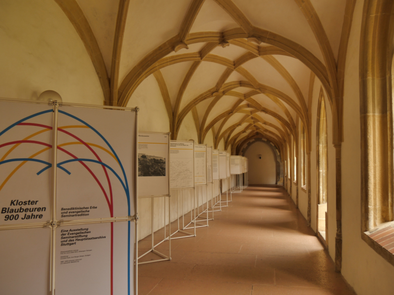 Боденское озеро / Bodensee - лучше сейчас, чем никогда.