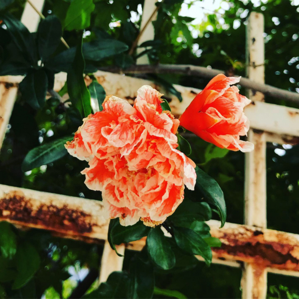 Наперегонки с летом. Москва-Хорватия-Испания-Москва и все, что между ними.