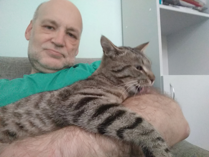 Кошки в нашей жизни. Кошки и все, что с ними связано.