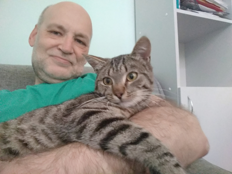 Кошки в нашей жизни. Кошки и все, что с ними связано.