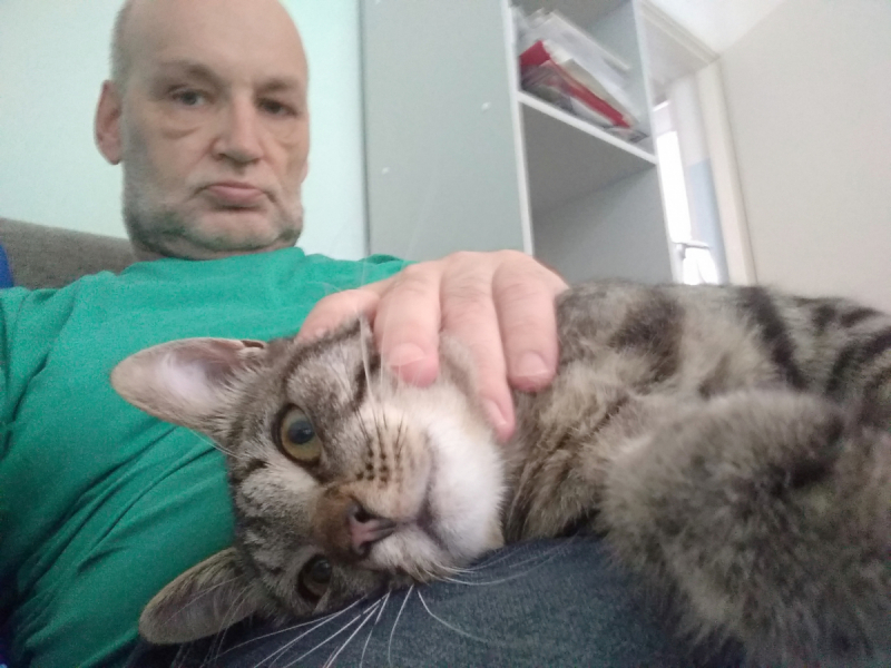 Кошки в нашей жизни. Кошки и все, что с ними связано.