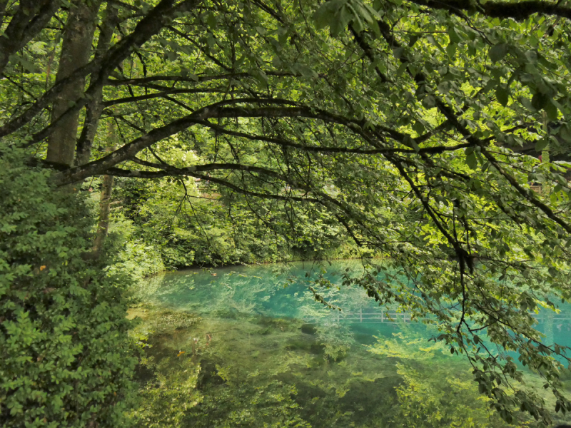 Боденское озеро / Bodensee - лучше сейчас, чем никогда.