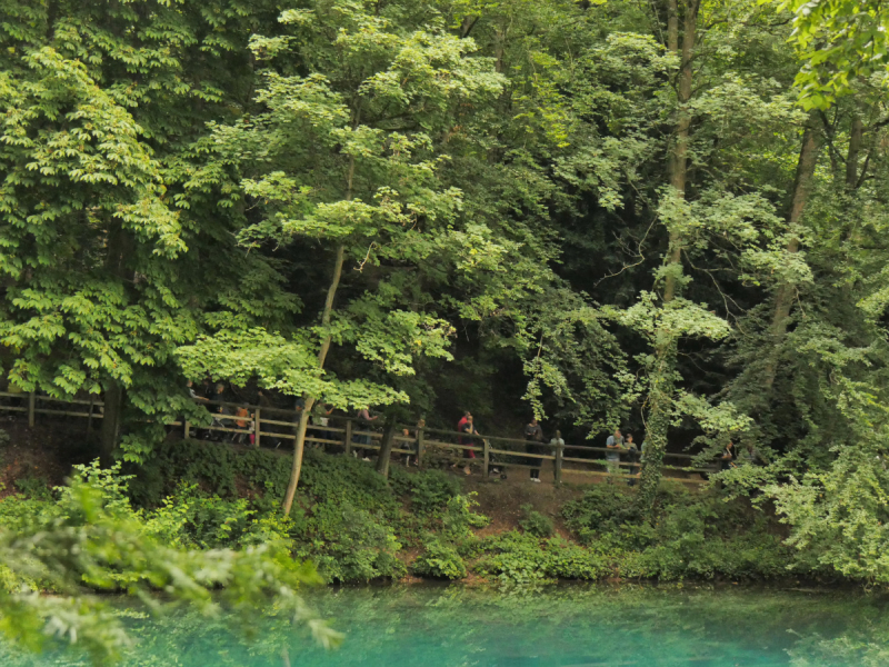 Боденское озеро / Bodensee - лучше сейчас, чем никогда.