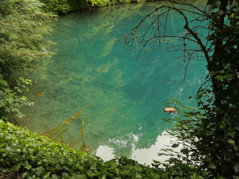 Боденское озеро / Bodensee - лучше сейчас, чем никогда.