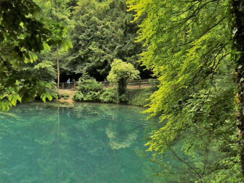 Боденское озеро / Bodensee - лучше сейчас, чем никогда.