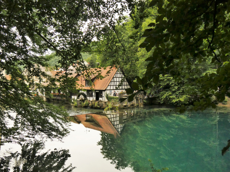 Боденское озеро / Bodensee - лучше сейчас, чем никогда.