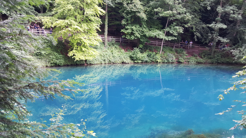Боденское озеро / Bodensee - лучше сейчас, чем никогда.