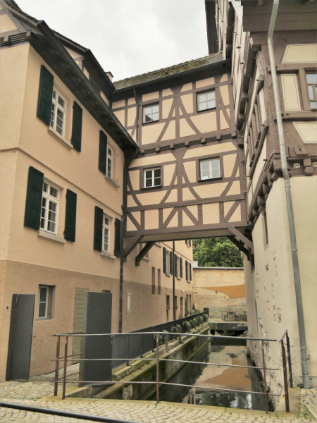 Боденское озеро / Bodensee - лучше сейчас, чем никогда.