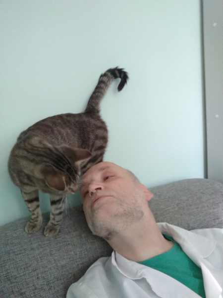 Кошки в нашей жизни. Кошки и все, что с ними связано.