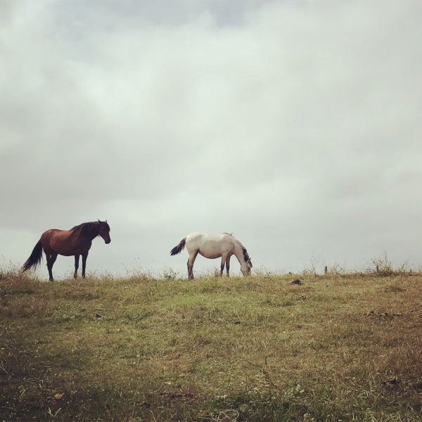 Cantabria infinita. Или любовь с первого взгляда и навсегда.