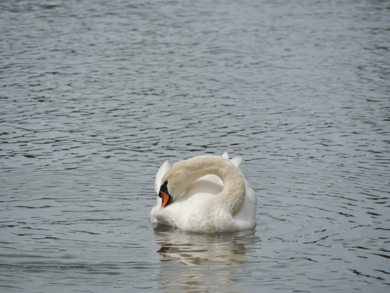 Маленькие и не совсем маленькие и даже совсем не маленькие города… или короткие поездки по городам и весям Германии.