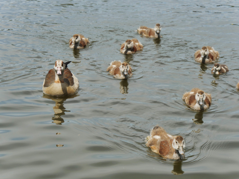 Маленькие и не совсем маленькие и даже совсем не маленькие города… или короткие поездки по городам и весям Германии.