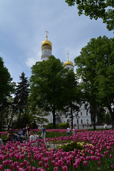 Город-герой Москва в мае 2017го