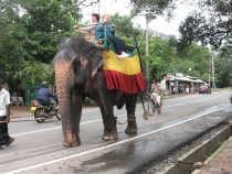 Сам себе турагент