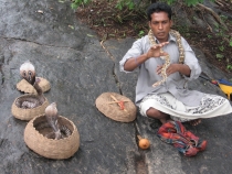 Сам себе турагент