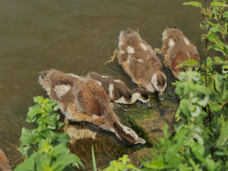 Маленькие и не совсем маленькие и даже совсем не маленькие города… или короткие поездки по городам и весям Германии.
