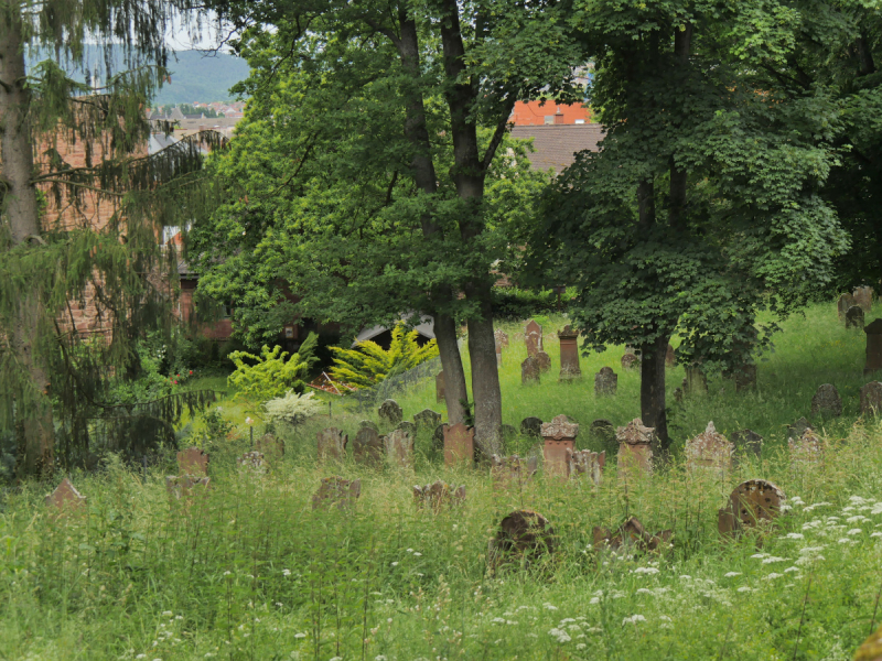 Маленькие и не совсем маленькие и даже совсем не маленькие города… или короткие поездки по городам и весям Германии.