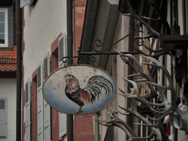 Маленькие и не совсем маленькие и даже совсем не маленькие города… или короткие поездки по городам и весям Германии.