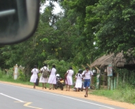 Сам себе турагент