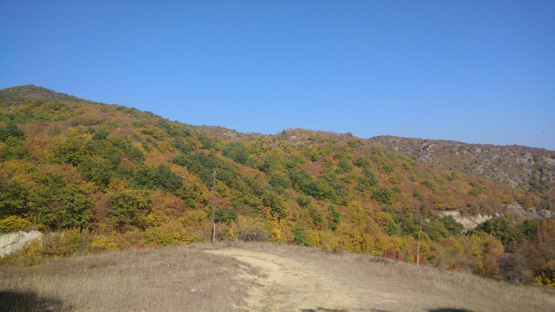 Дорога в Тбилиси