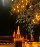 Similan Islands + Khao Lak+ Phi Phi' ноябрь 2011