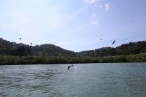 Лангкави и Куала-Лумпур 011