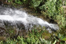 Лангкави и Куала-Лумпур 011