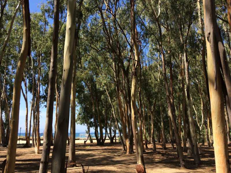 Сардиния 2018. ЮГ. Отдых с маленьким ребёном.