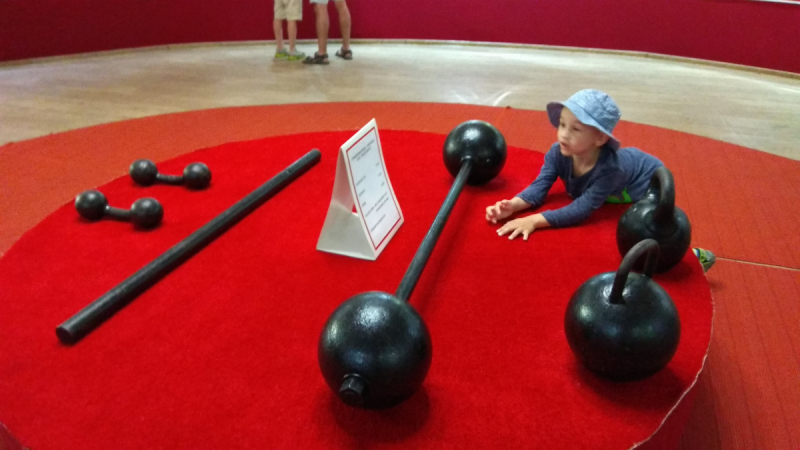 Отпуск в Ейске в июне-июле 2019