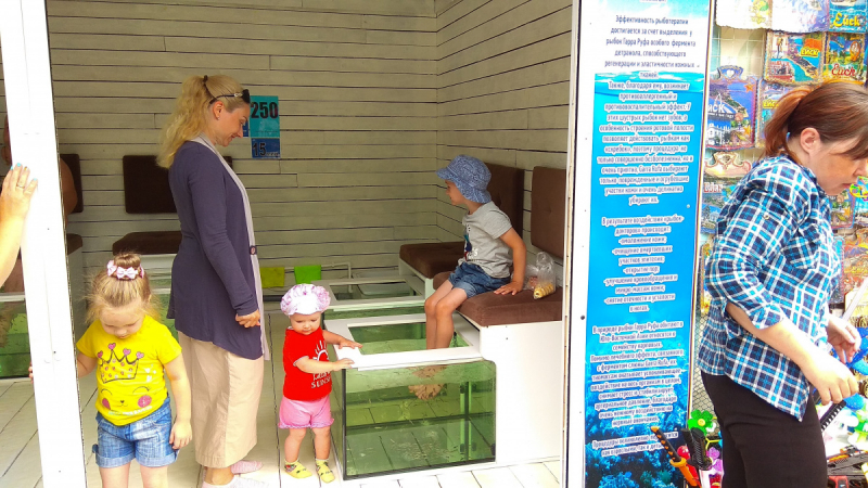 Отпуск в Ейске в июне-июле 2019