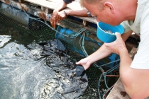 Лангкави и Куала-Лумпур 011