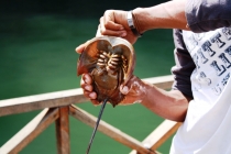 Лангкави и Куала-Лумпур 011