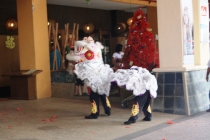 Лангкави и Куала-Лумпур 011