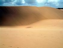 DSCN0897