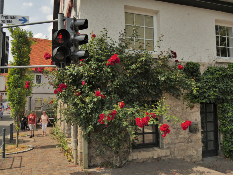 Маленькие и не совсем маленькие и даже совсем не маленькие города… или короткие поездки по городам и весям Германии.