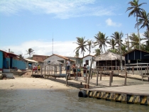 DSCN0955